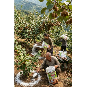 Agroplant Çotanak BZn Gübre 10 kg