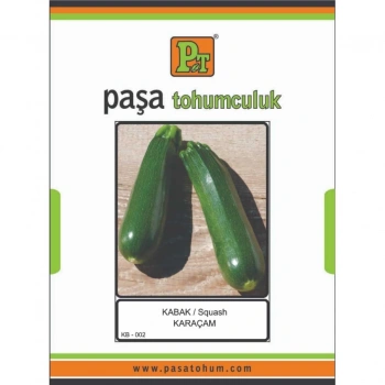 PAŞA KABAK - KARAÇAM (SİYAH) TOHUMU 10 GR