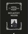 Mülkiyet Nedir