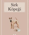 Sirk Köpeği