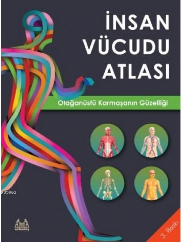 İnsan Vücudu Atlası