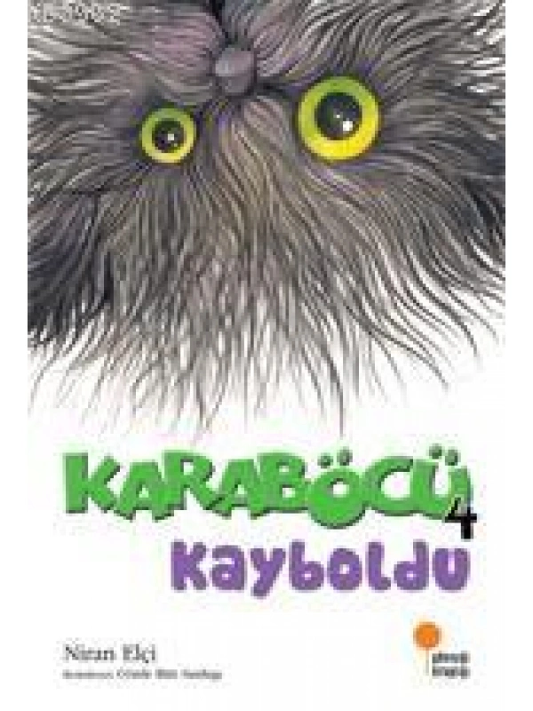 Karaböcü 4 - Kayboldu