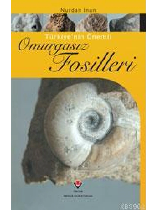 Türkiye´nin Önemli Omurgasız Fosilleri