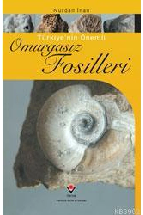 Türkiye´nin Önemli Omurgasız Fosilleri