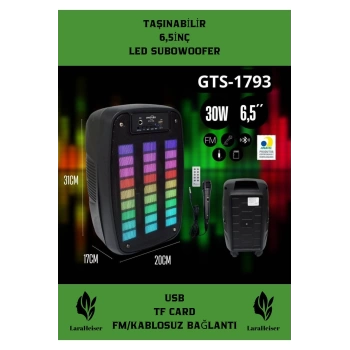 Premium Büyük Speaker Bluetooth Hoparlör Parti Karaoke Mikrofonlu Ses Bombası