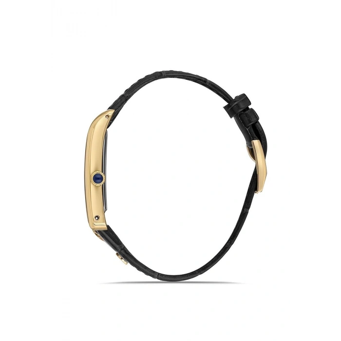 Momentus CM365G-02BG Erkek Kol Saati