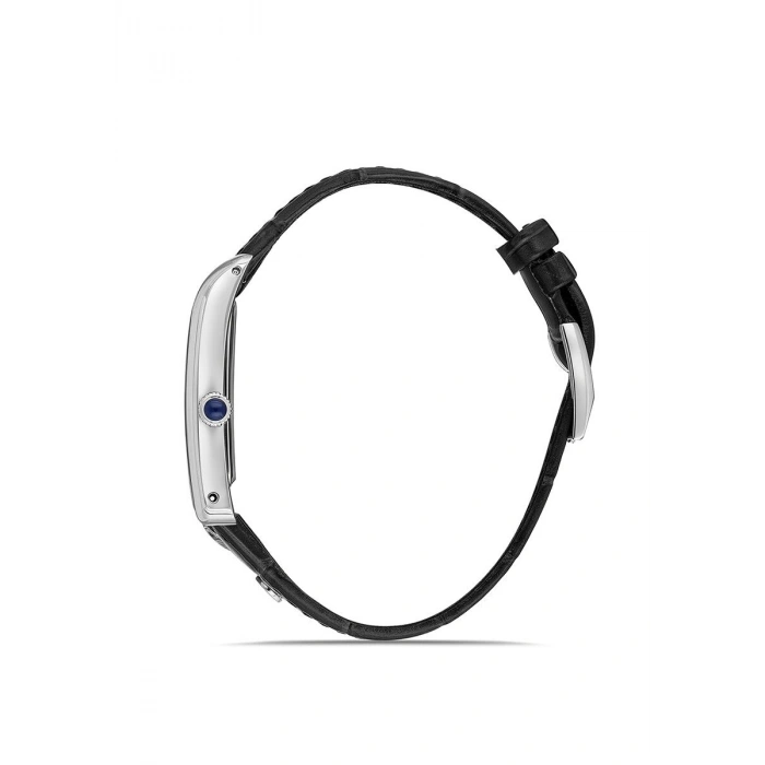 Momentus CM365S-02BS Erkek Kol Saati