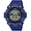 Casio WS-1300H-2AVDF Erkek Kol Saati