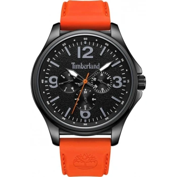 Timberland TDWGQ2183103 Erkek Kol Saati