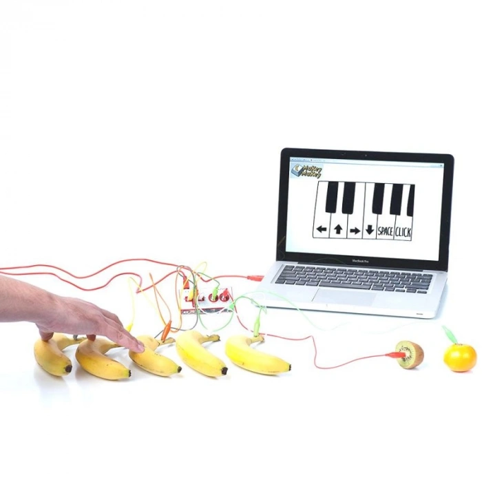 Makey Makey Standart Kit