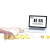 Makey Makey Standart Kit