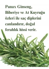 Saç Dökülmesine Karşı Güçlendirici Bakım Şampuanı - Hızlı Uzamaya Yardımcı Keratin & Biotin Özlü
