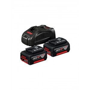 Bosch 18V Başlangıç seti 2x5.0 Ah + GAL 1880CV