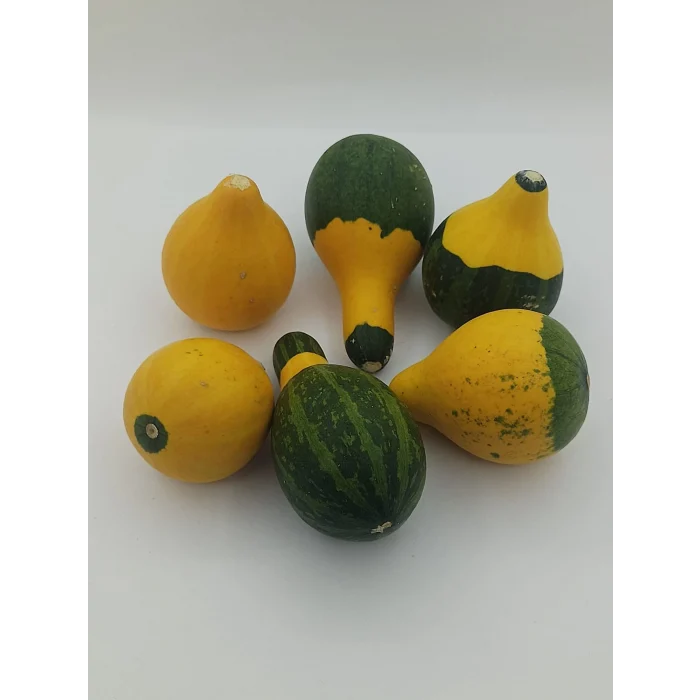 Doğal Kurutulmuş Süs Kabağı Hediyelik