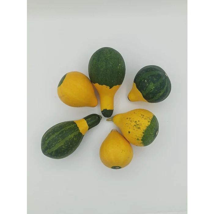 Doğal Kurutulmuş Süs Kabağı Hediyelik