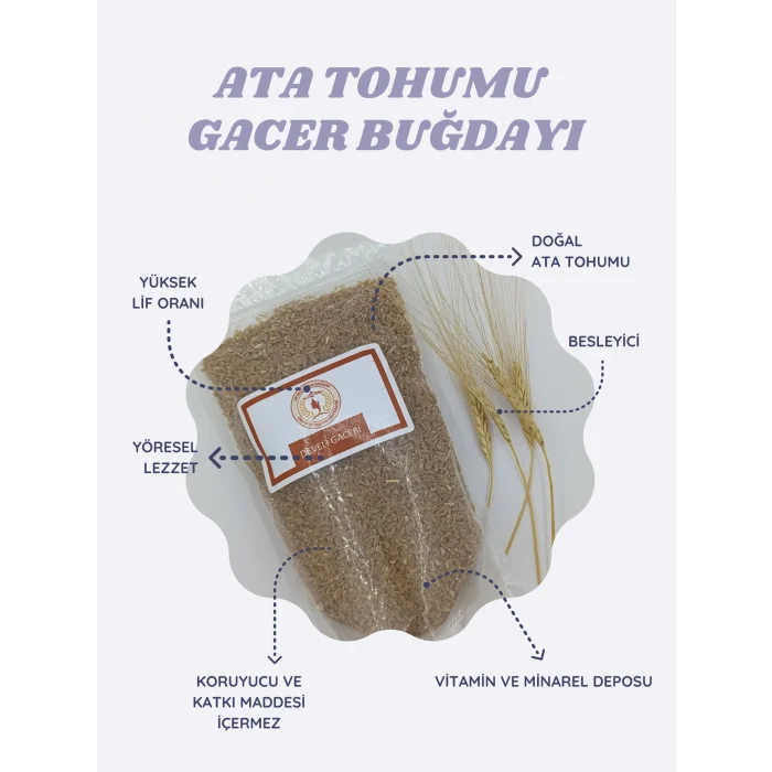 Meşhur Develi Gacer Buğdayı 500 gr.