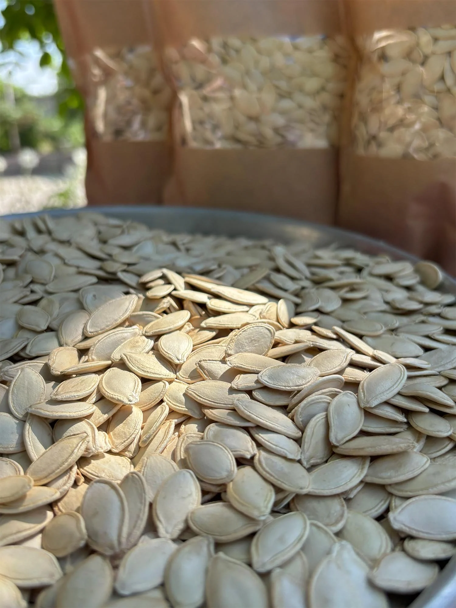 Develi Yerli Çiğ Kabak Çekirdeği 1 Kg