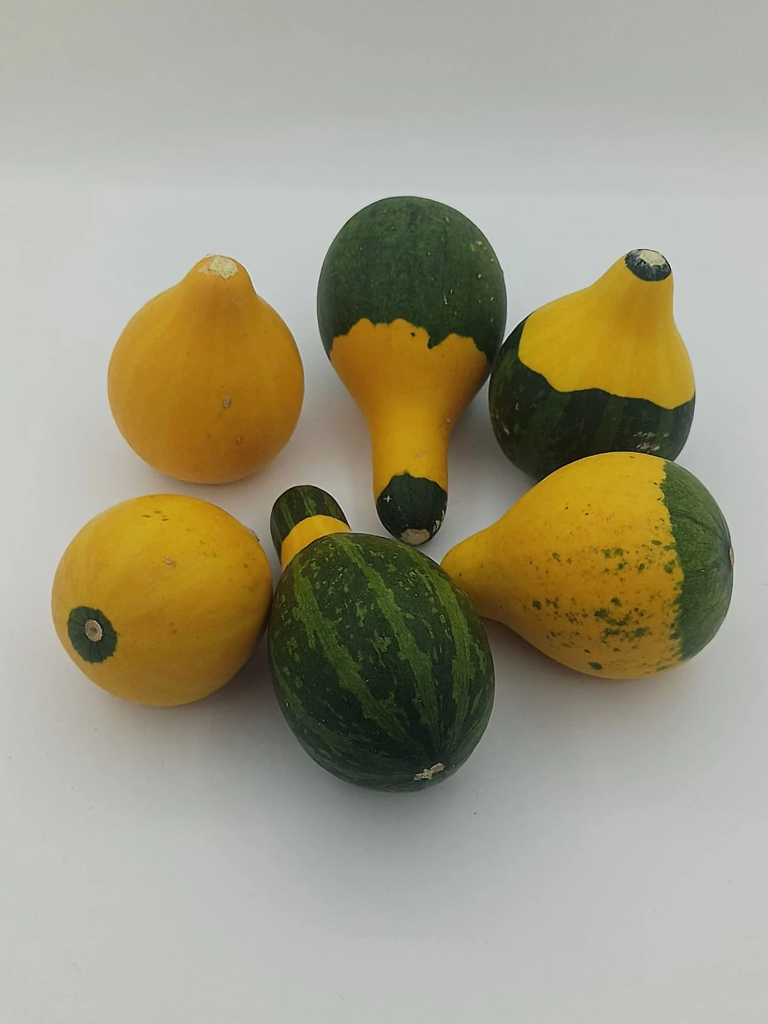 Doğal Kurutulmuş Süs Kabağı Hediyelik