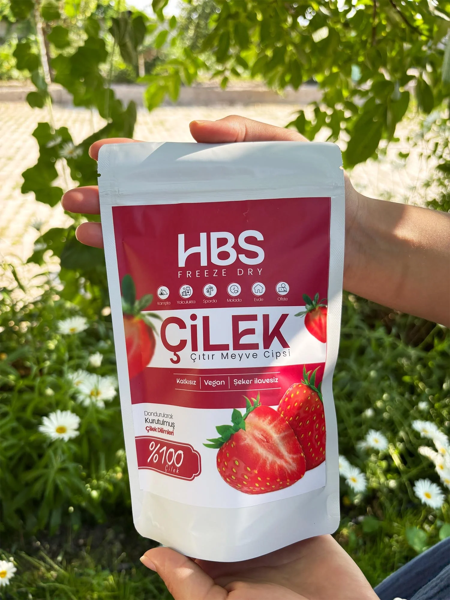 Freeze Dry Çilek- Katkı ve Şeker İlavesiz Meyve Cipsi Üçlü Paket