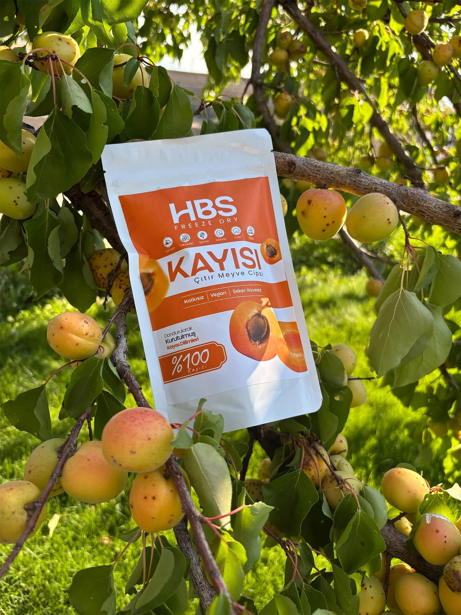 Freeze Dry Kayısı – Katkı ve Şeker İlavesiz Meyve Cipsi
