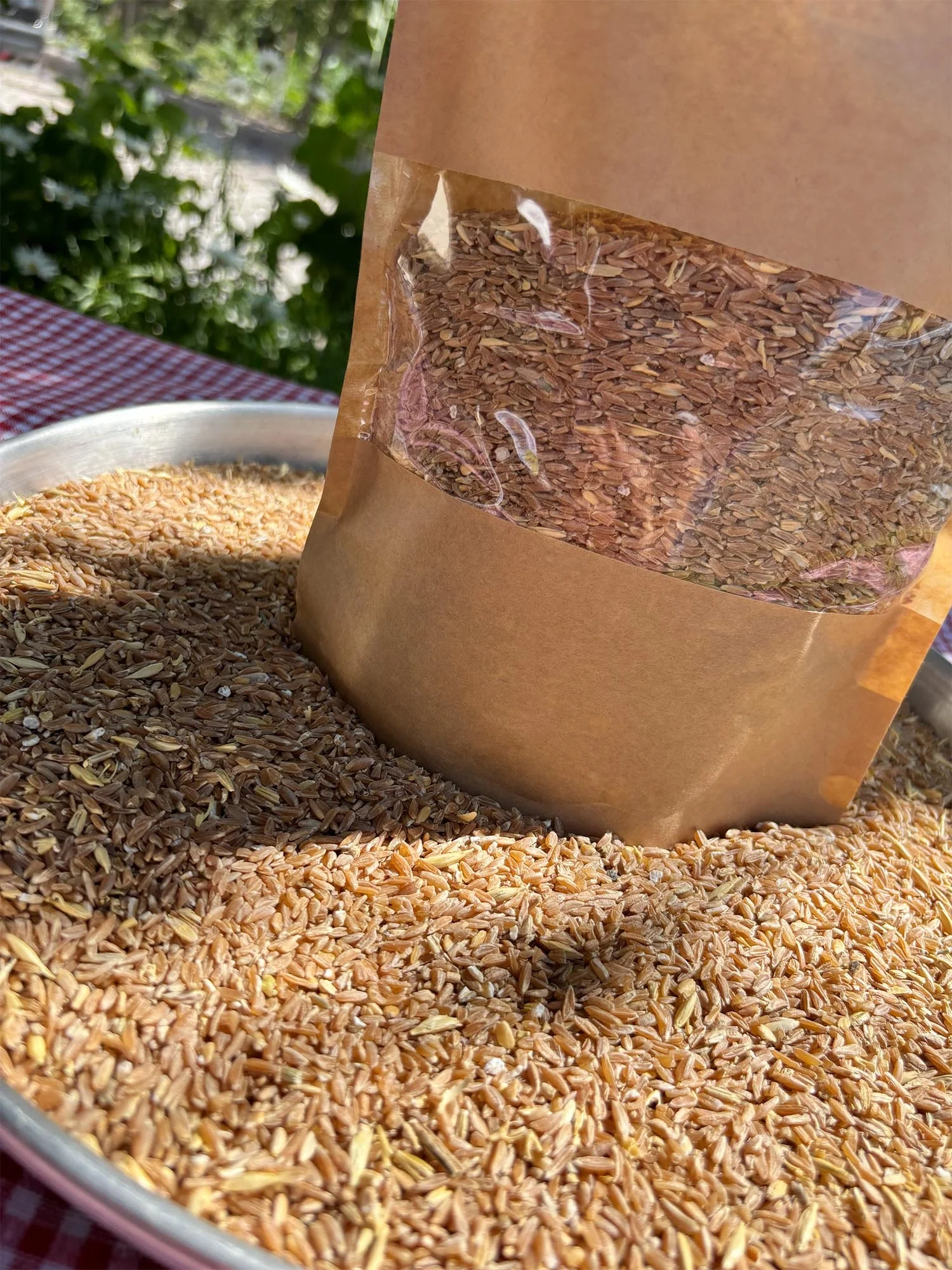 Meşhur Develi Gacer Buğdayı 5 kg - Doğal ve Besleyici