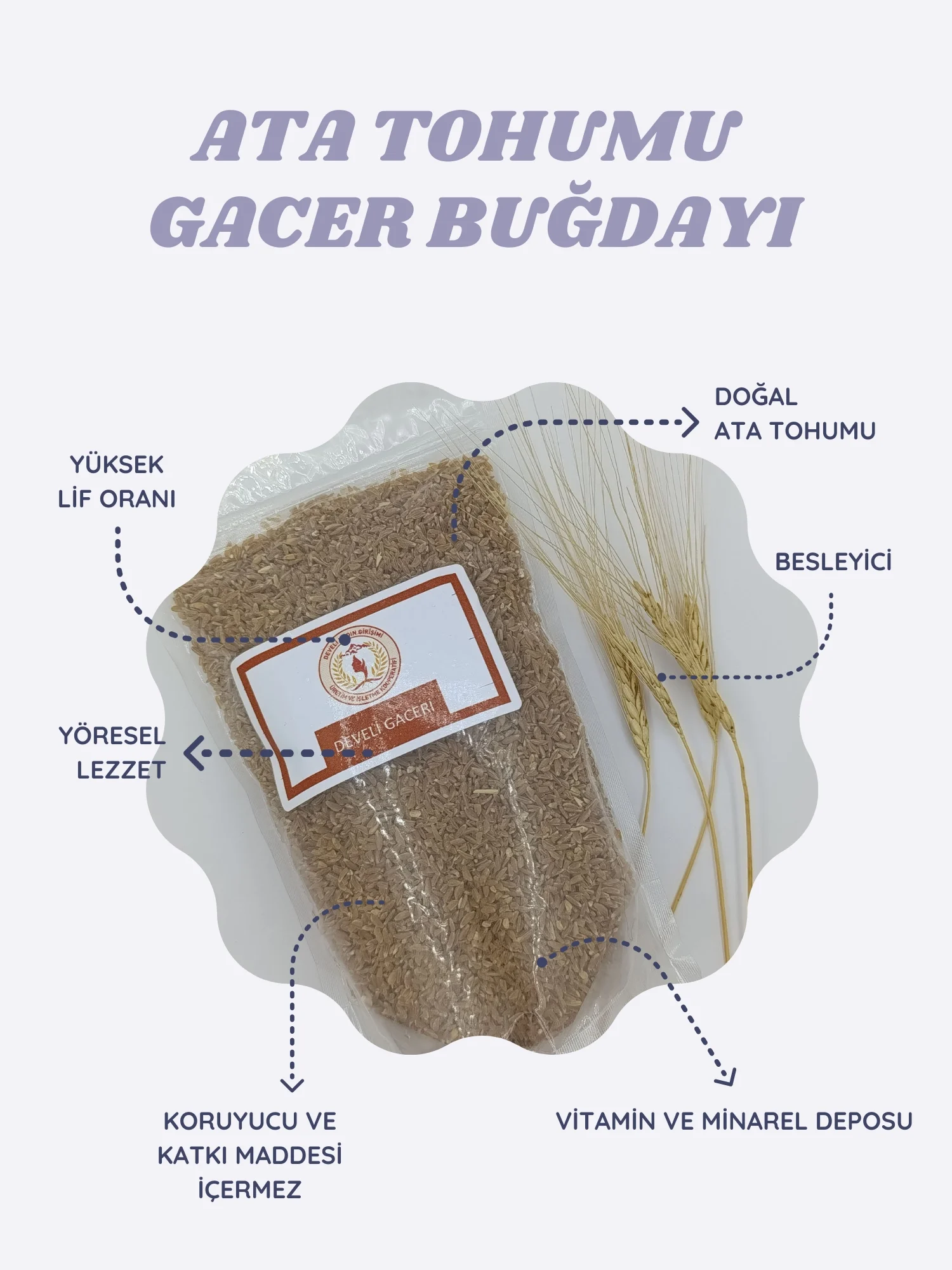 Meşhur Develi Gacer Buğdayı 500 gr.
