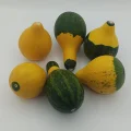 Doğal Kurutulmuş Süs Kabağı Hediyelik
