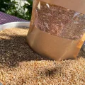 Meşhur Develi Gacer Buğdayı 5 kg - Doğal ve Besleyici