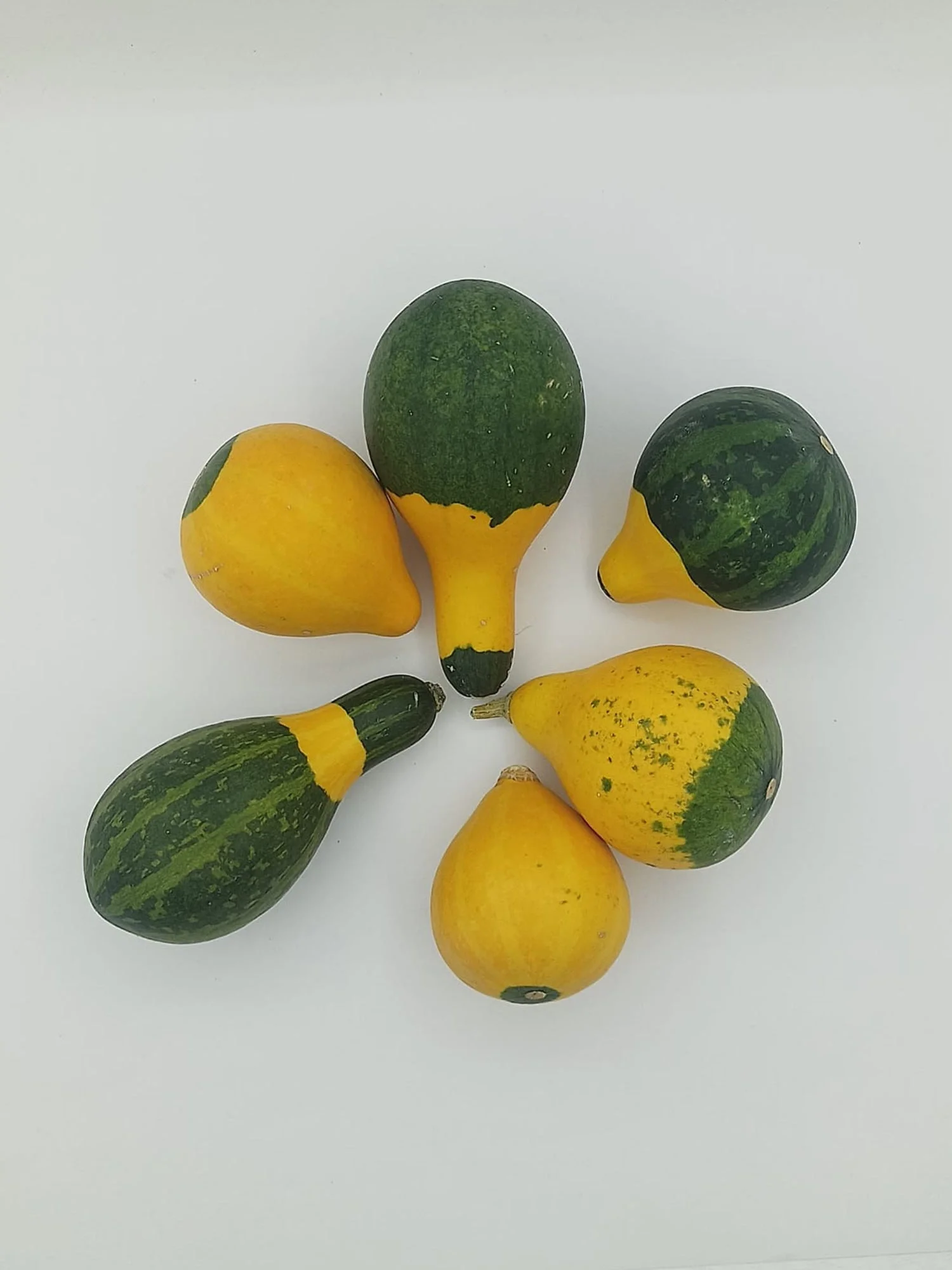 Doğal Kurutulmuş Süs Kabağı Hediyelik