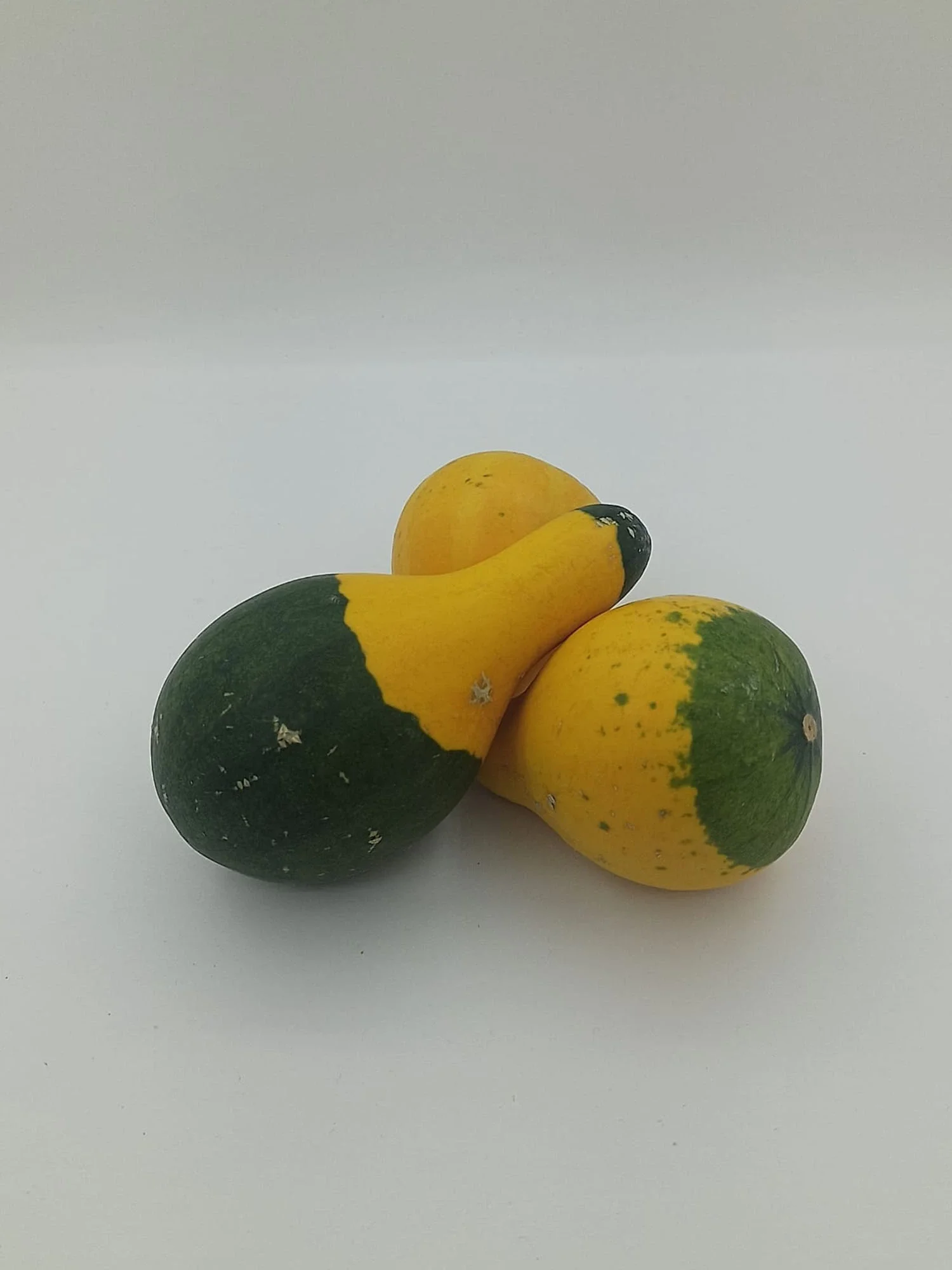 Doğal Kurutulmuş Süs Kabağı Hediyelik