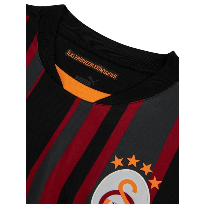 Galatasaray Puma 2024/2025 Alternatif Forma 77965403