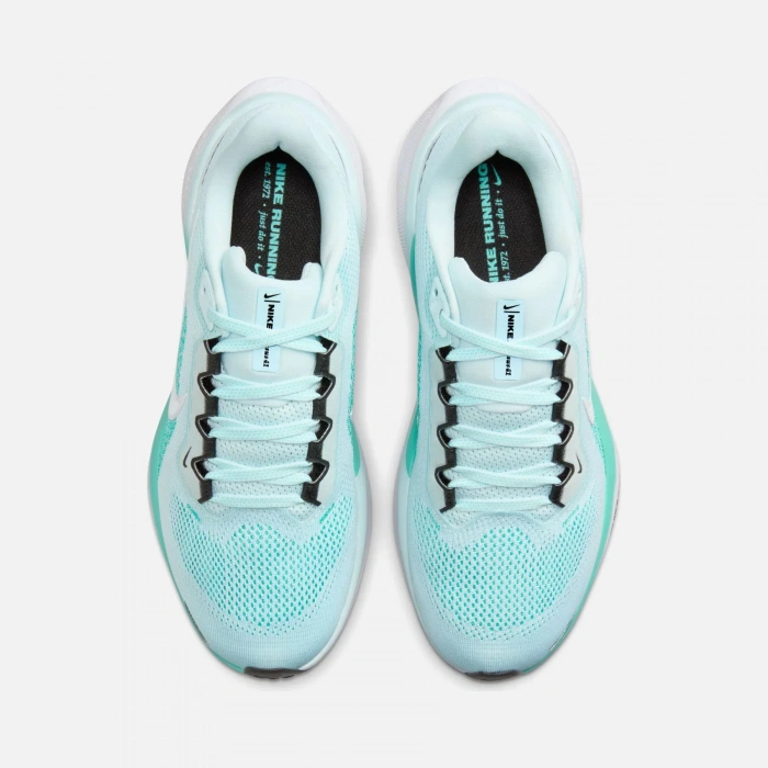 Nike Air Zoom Pegasus 41 Road Running Kadın Spor Ayakkabı FD2723-401