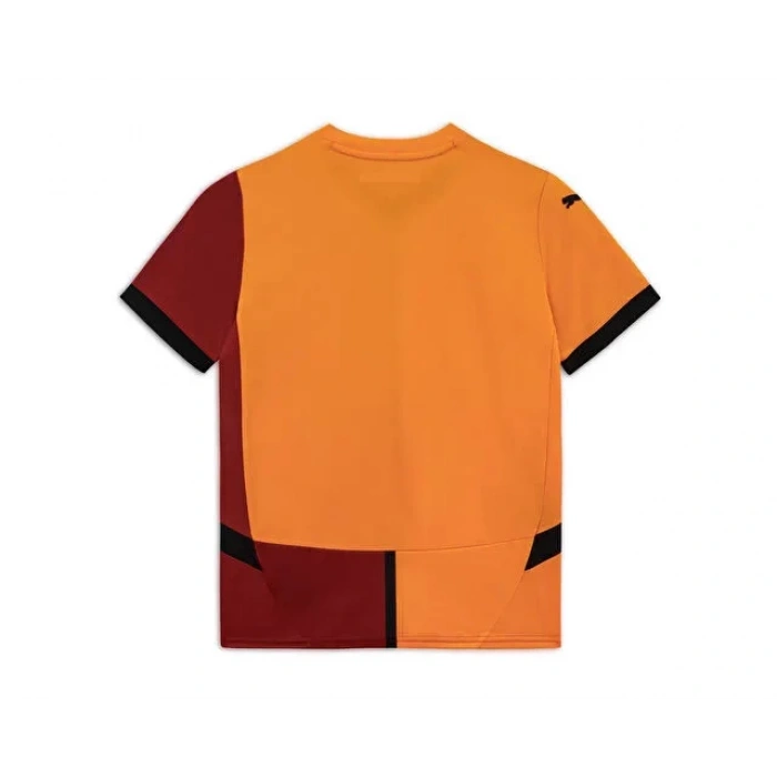 Puma Galatasaray Sk 2024/2025 Çocuk Futbol İç Saha Forması 77965901