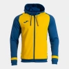 Joma Phoenix III Zip-Up Sweatshirt Erkek Sarı Sax 104300.907