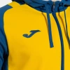 Joma Phoenix III Zip-Up Sweatshirt Erkek Sarı Sax 104300.907
