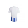 Adidas Striped 24 Jsy Erkek Futbol Forması Beyaz IW2144