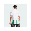 Adidas Striped 24 Jsy Erkek Futbol Forması Yeşil IW2148