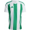 Adidas Striped 24 Jsy Erkek Futbol Forması Yeşil IW2148