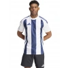 Adidas Striped 24 Jsy Erkek Futbol Forması Mavi Beyaz IW4554