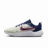 Nike Downshifter 12 Erkek Bej Koşu Ayakkabısı DD9293-012