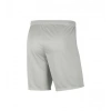 Nike Dry Park III Erkek Gri Futbol Şortu BV6855-017