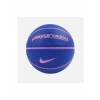 Nike Everyday Playground 8p Unisex Basketbol Topu N.100.4371.429.07