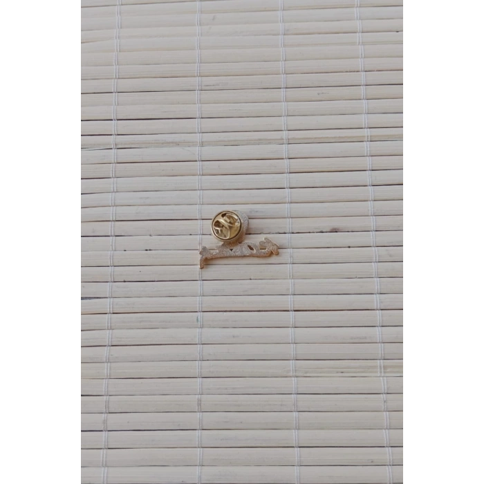 3 Adet 100.yil Siyah ve sari renkli Ataturk siluetli imzali Sarrafiyeli taki ceket yaka ignesi yaka rozeti