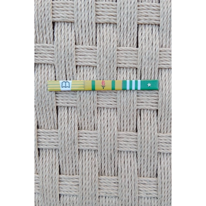 Universite Kaynagindan Dis Kaynak Subay Mesleki ihtisas idari Lojistik Basari 1 Yildiz Serit Rozeti