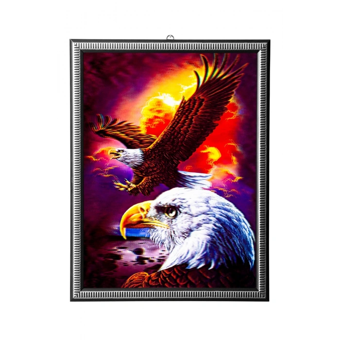 5d recine elmas boyama 180° hareketli 2 li kartallar cerceveli tablo resim