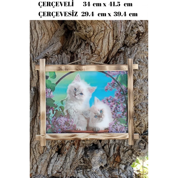 5d recine elmas boyama 180° hareketli 2 li mavi gozlu sevimli kediler cerceveli tablo resim