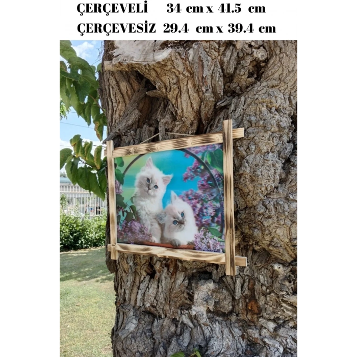 5d recine elmas boyama 180° hareketli 2 li mavi gozlu sevimli kediler cerceveli tablo resim