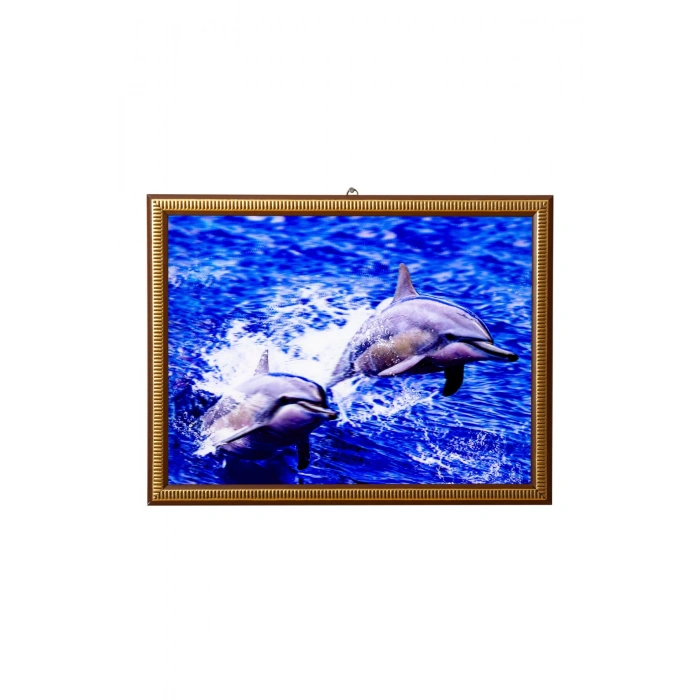 5d recine elmas boyama 180° hareketli 2li sevimli yunuslar dolphin cerceveli tablo resim