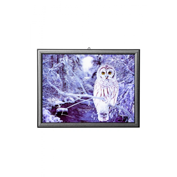 5d recine elmas boyama 180° hareketli kar baykusu puhu cerceveli tablo resim