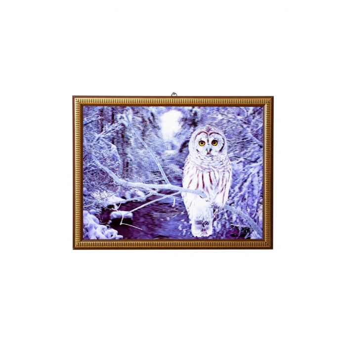 5d recine elmas boyama 180° hareketli kar baykusu puhu cerceveli tablo resim